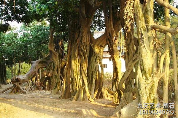 大型水泥人造榕树景观